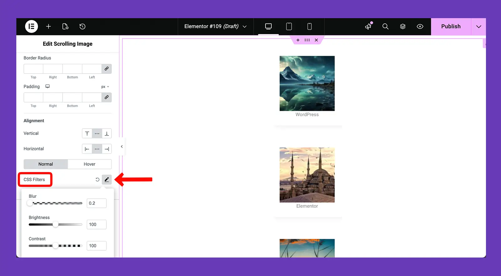 CSS FIlter of Scrolling Image Widget