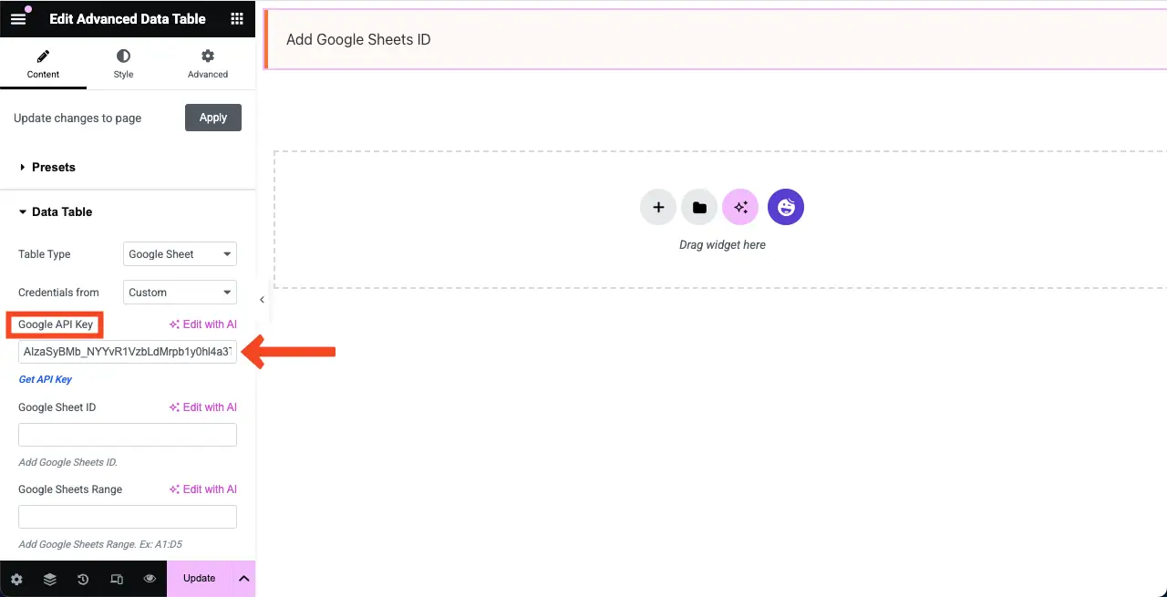 Place the Google API key to Elementor
