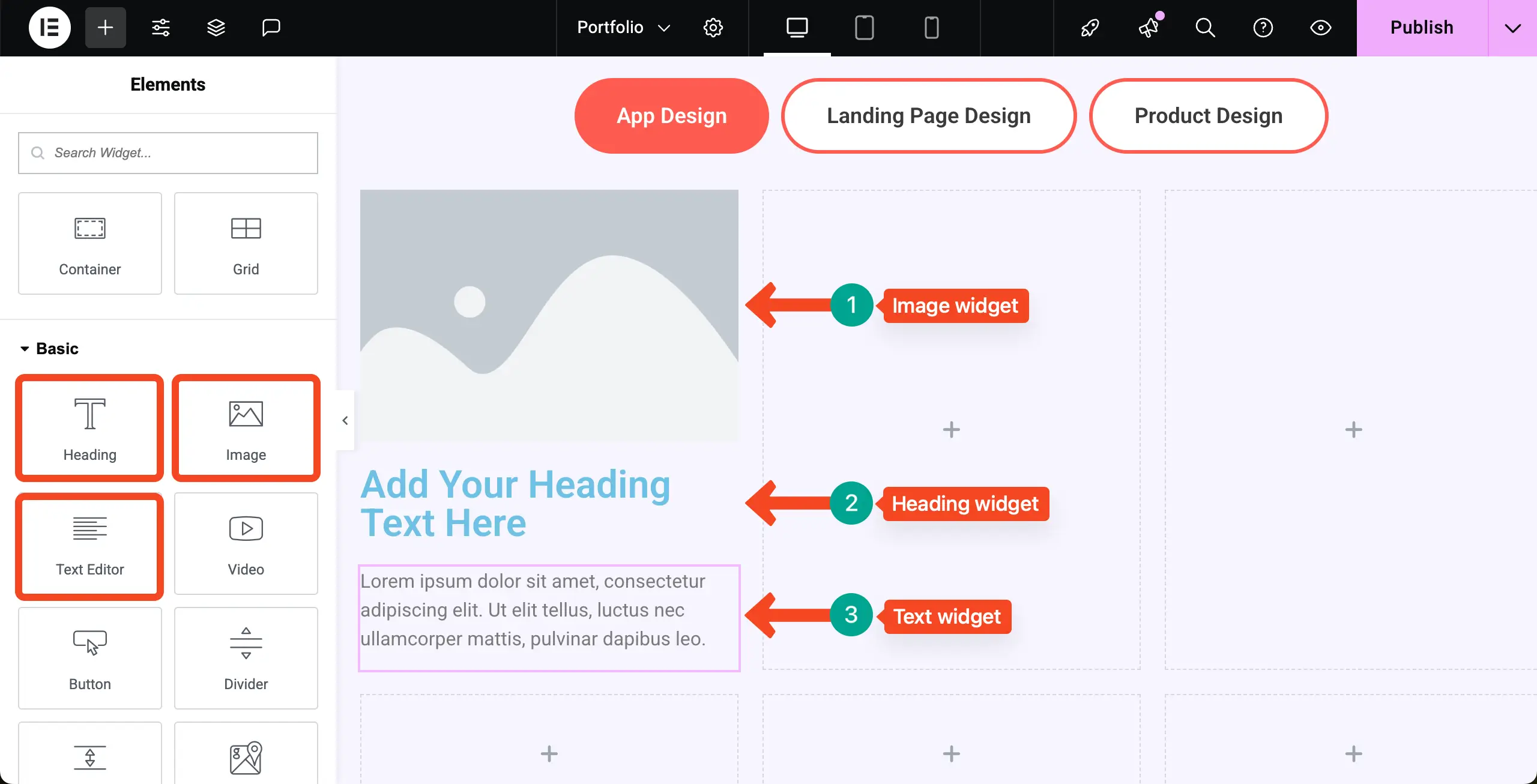 Display Portfolio Content